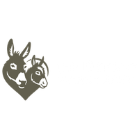 The Donkey Sanctuary charity paragon print clients
